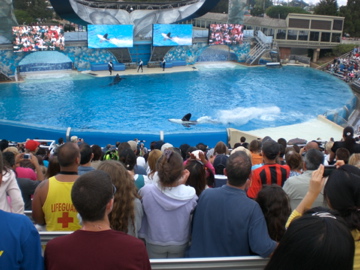 SeaWorld